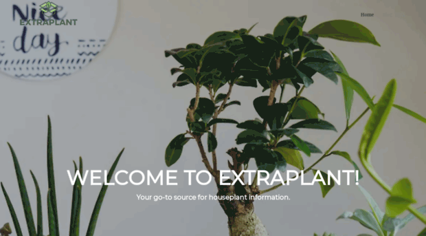 extraplant.com