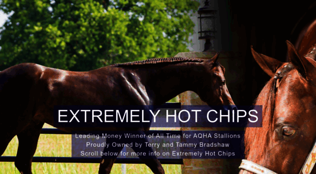 extremelyhotchips.com