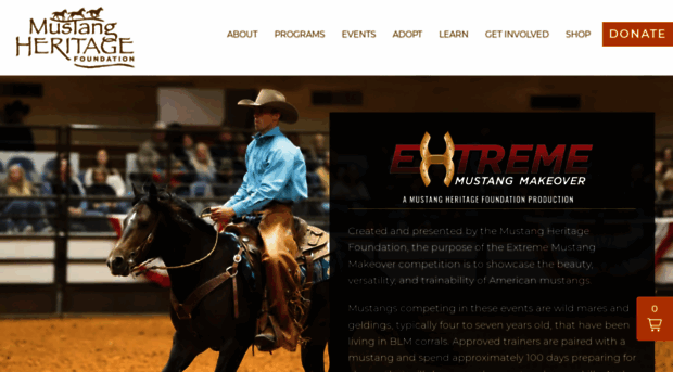 extrememustangmakeover.com