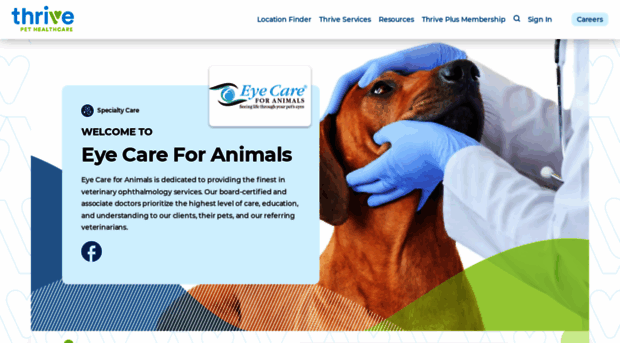 eyecareforanimals.com