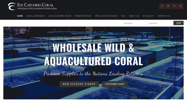 eyecatchingcoral.com