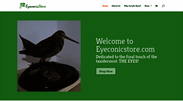 eyeconicstore.com