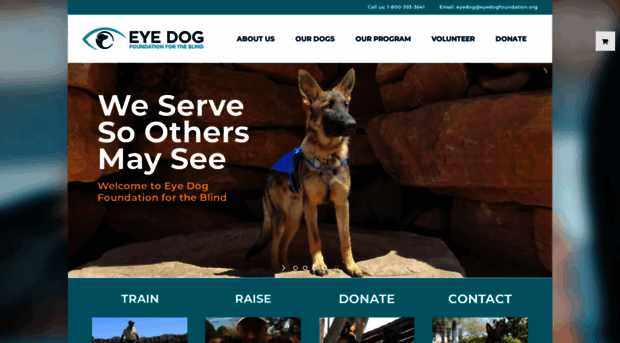 eyedogfoundation.org