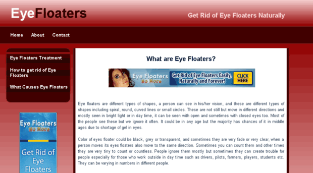 eyefloaters-info.com