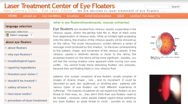 eyefloaterstherapy.com