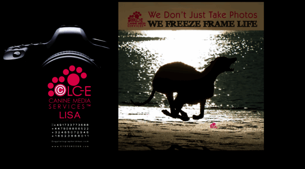 eyefordogs.com