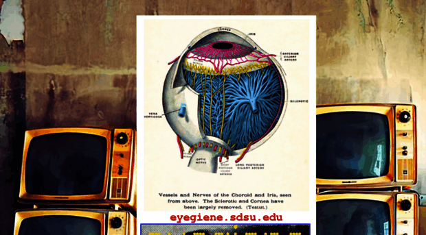 eyegiene.sdsu.edu