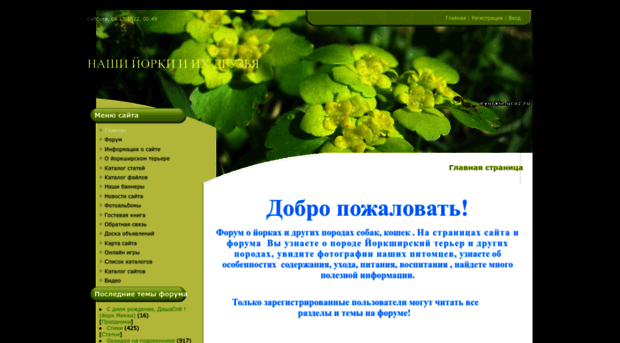 eyorkie.ucoz.ru