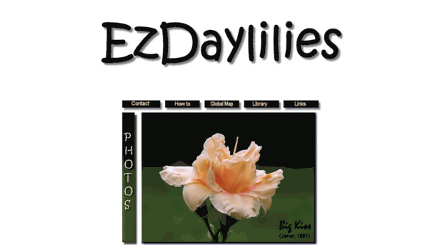 ezdaylilies.com