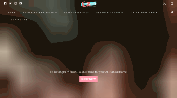 ezdetanglerbrush.com