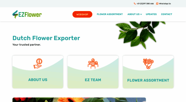 ezflower.nl