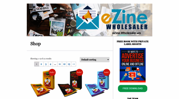 ezinewholesaler.com