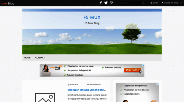 f5mux.over-blog.com