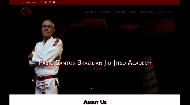 fabiojiujitsu.com