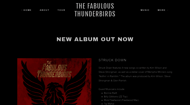 fabulousthunderbirds.com