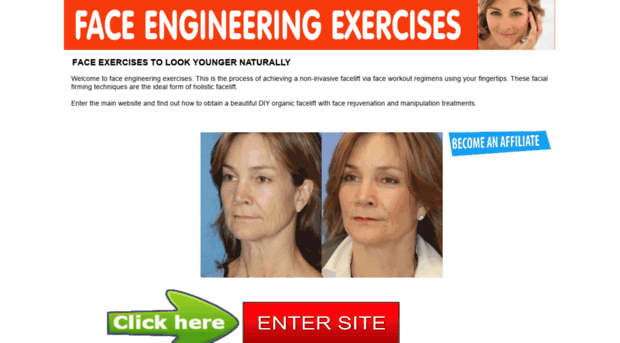 face-engineering-exercises.org