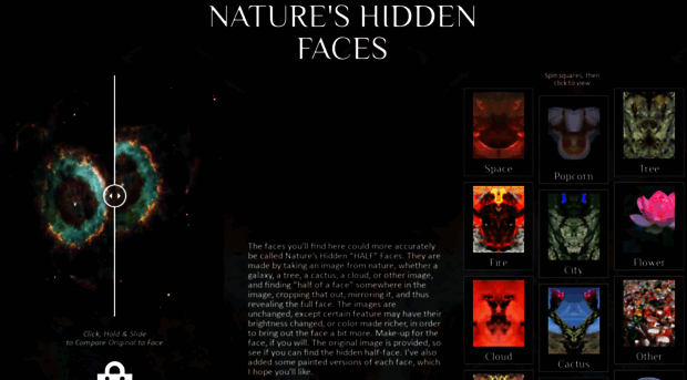 face-finder.com