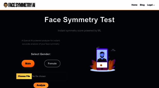 face-symmetry.com