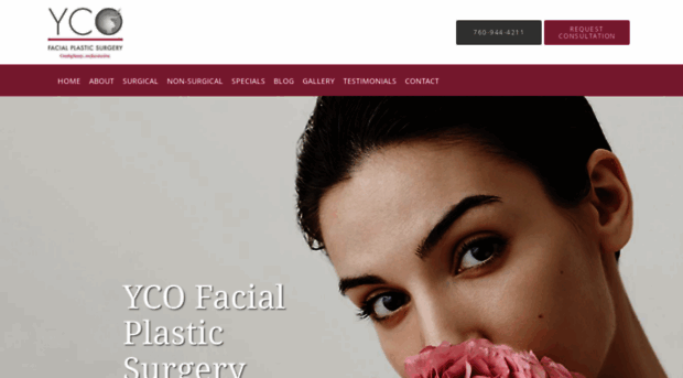 facesurgery.com