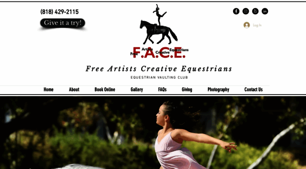 facevaulting.com