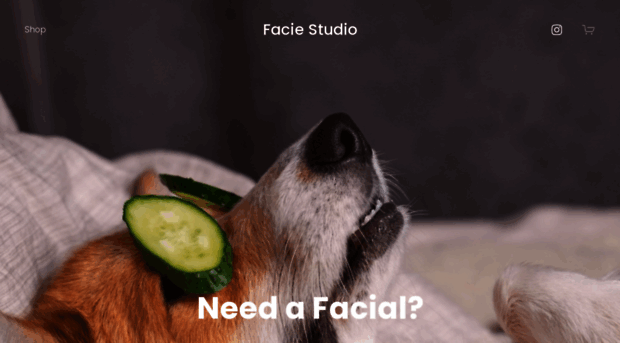 faciestudio.com