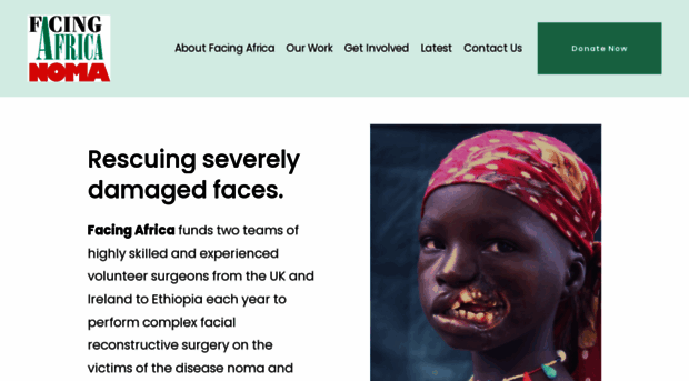 facingafrica.org