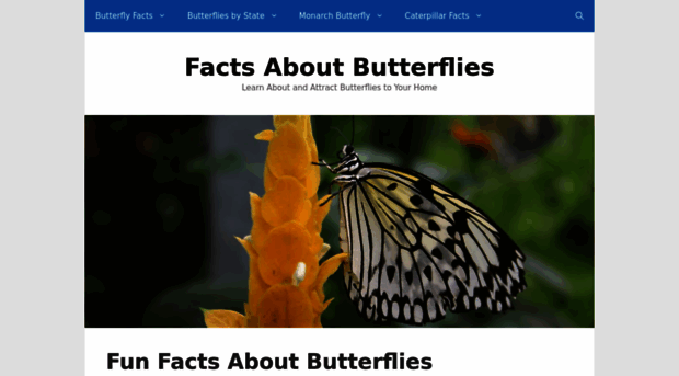 factsaboutbutterflies.net