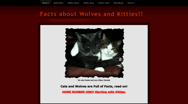 factsaboutwolvesandkitties.weebly.com