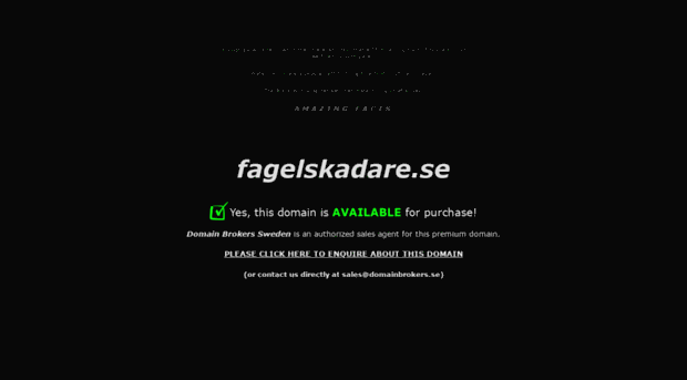 fagelskadare.se