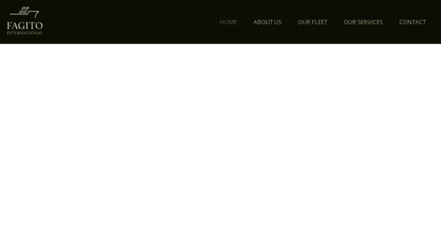 fagitointernational.com