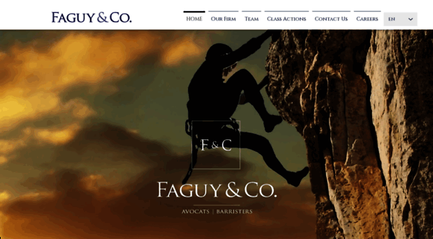 faguyco.com