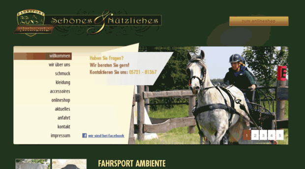 fahrsport-ambiente.com