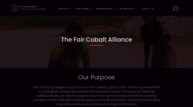 faircobaltalliance.org