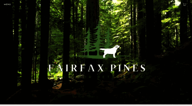 fairfaxpinesenglishlabradors.com