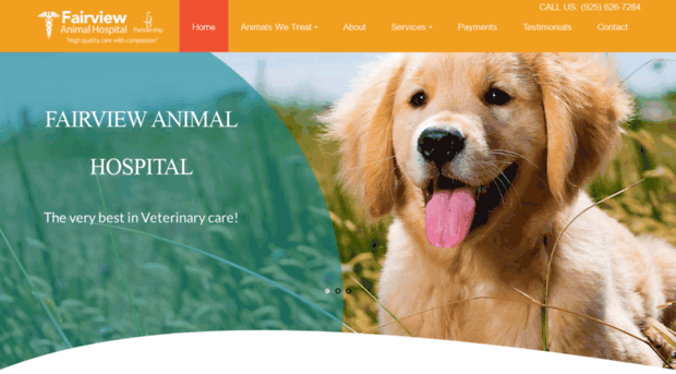 fairviewanimalhospital.net