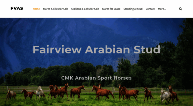 fairviewarabianstud.com