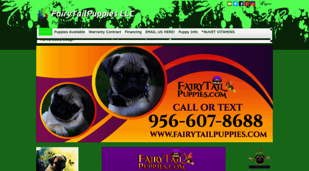 fairytailpuppies.com