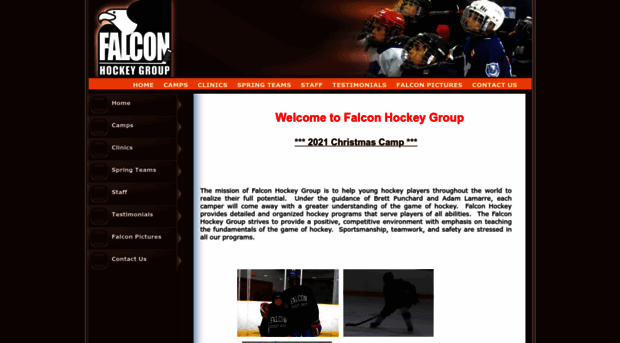 falconhockeygroup.com