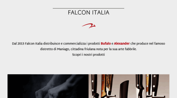 falconitalia.it