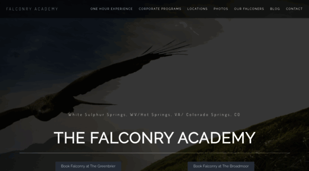 falconryacademy.com