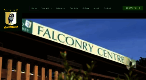 falconryinireland.com