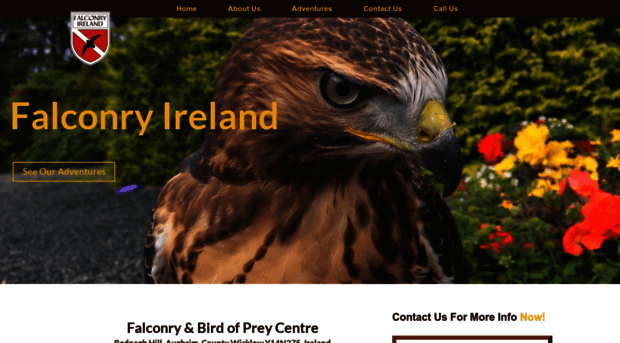 falconryofireland.ie