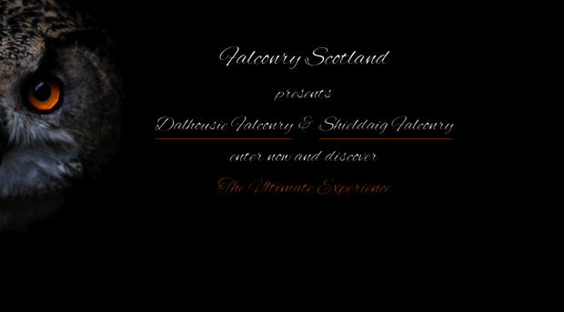 falconryscotland.co.uk