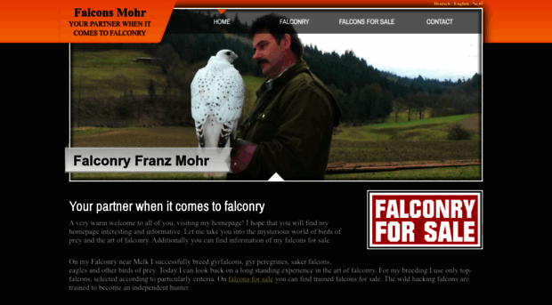 falcons-mohr.com