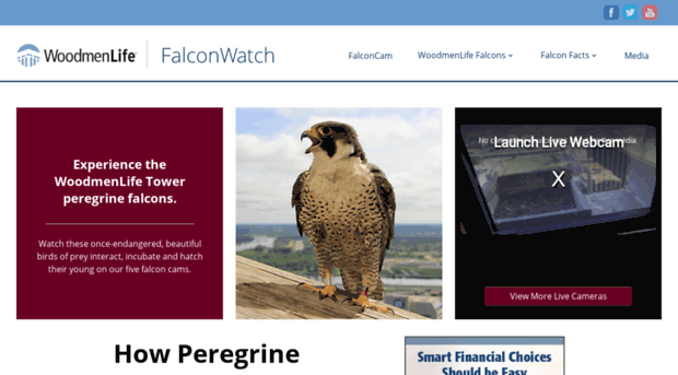 falcons.woodmen.org