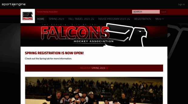 falconshockey.org