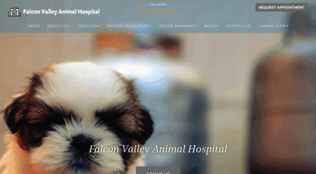 falconvalleyanimalhospital.com