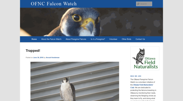 falconwatch.ca