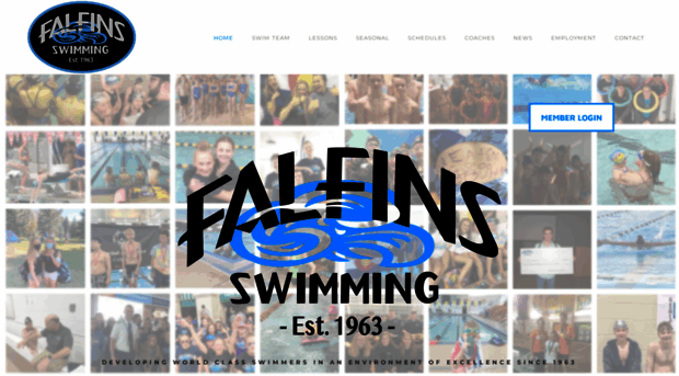 falfins.org