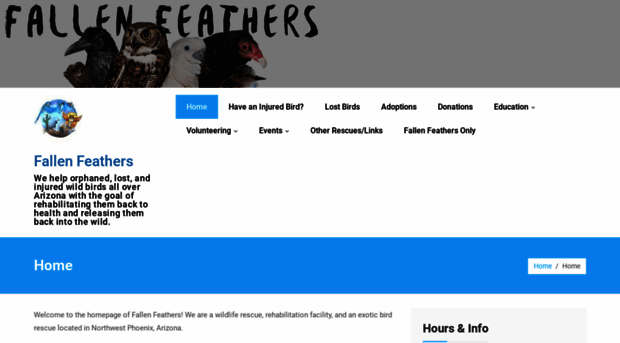 fallenfeathers.org